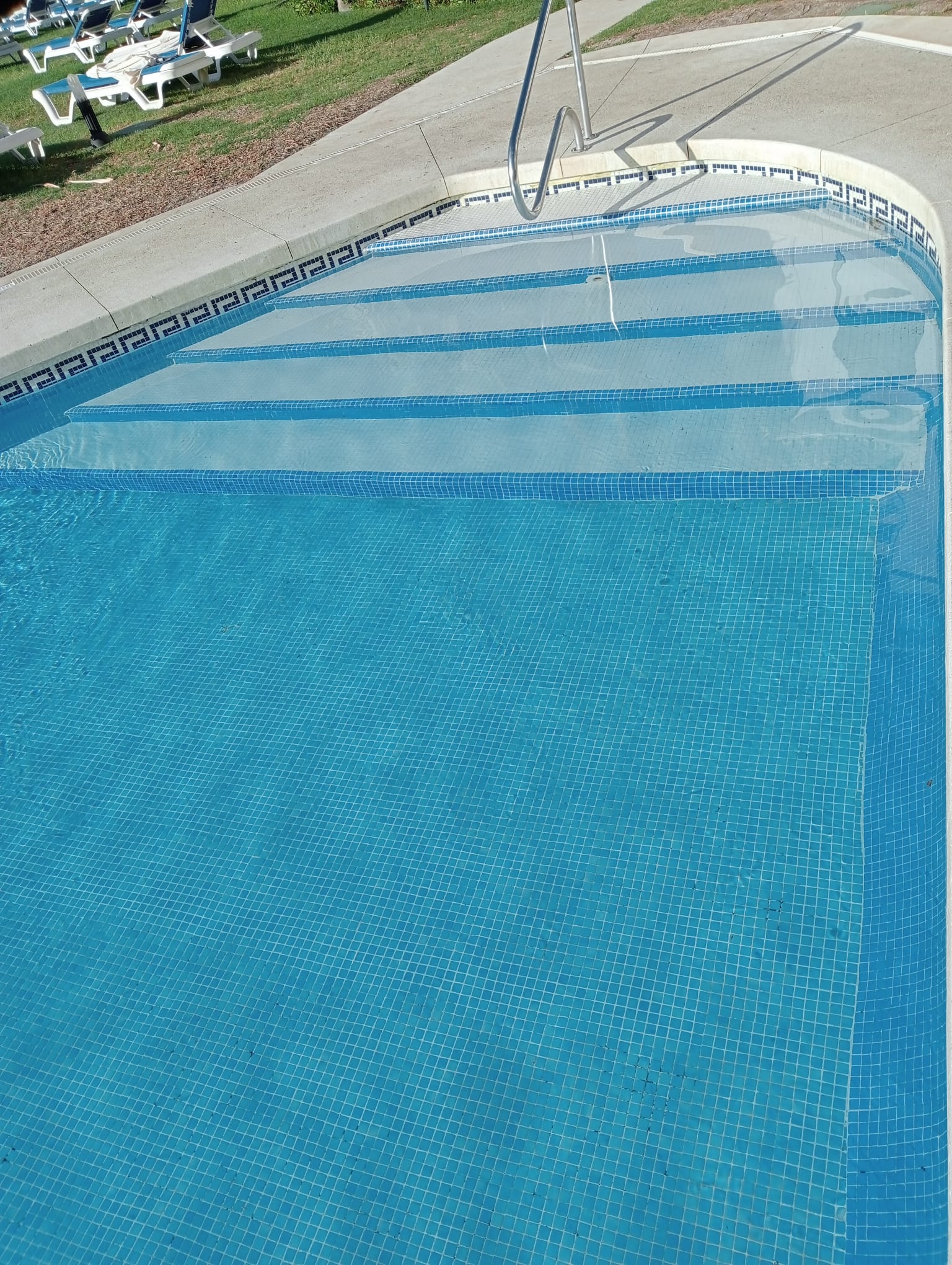 Transparente